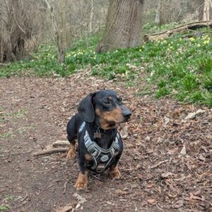 Marvin - Image 1