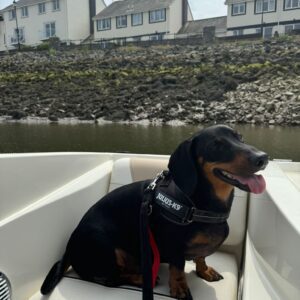 Dexter - Image 3