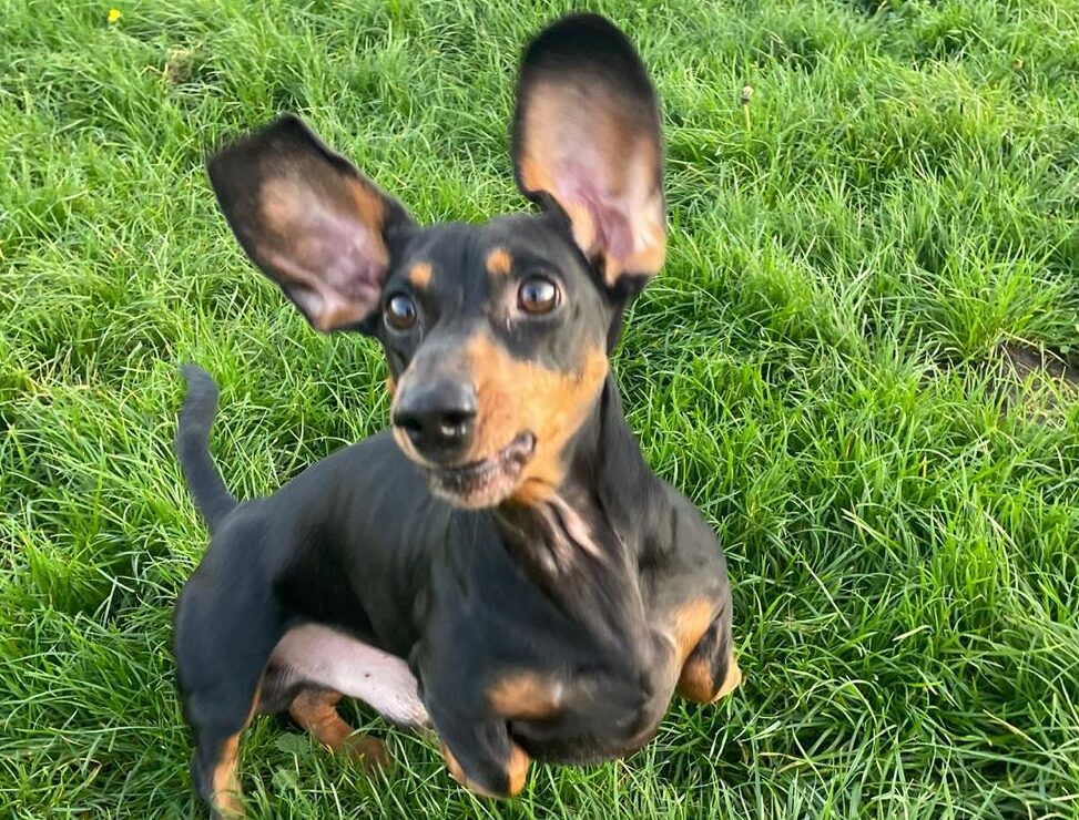 fc16e6a8-533d-4368-b2ad-fbdba2313e01