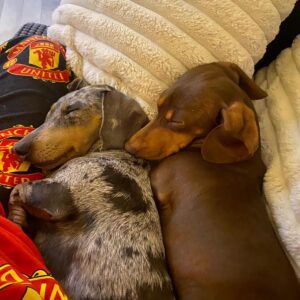 Izzy & Coco - Image 1