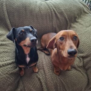 Rudy & Belle - Image 1